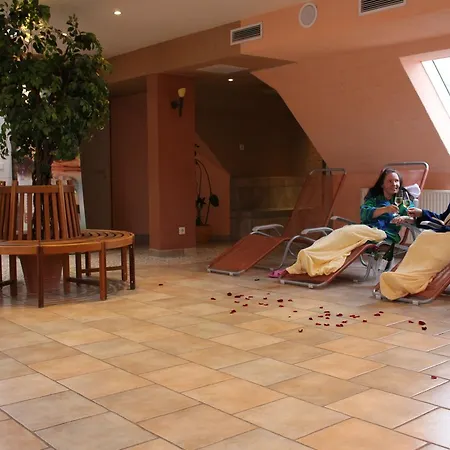 ホテル Parkhotel 3*